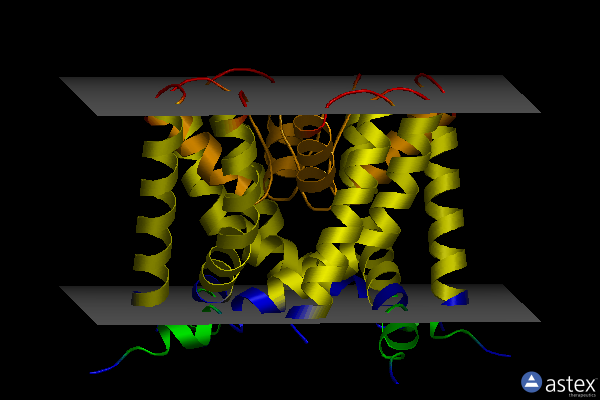 Membrane view of 4zbm