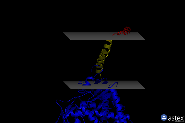 Membrane view of 4ze2