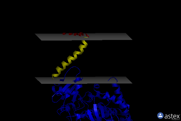 Membrane view of 4ze3