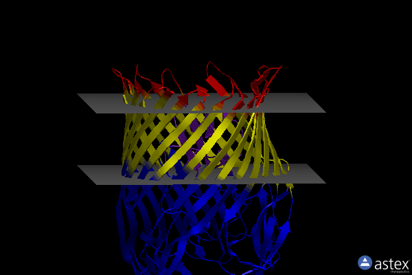 Membrane view of 4zgv