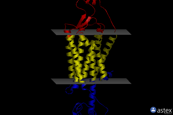 Membrane view of 4zjc