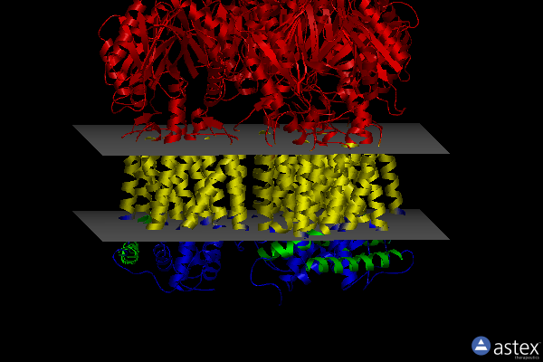 Membrane view of 4zjo