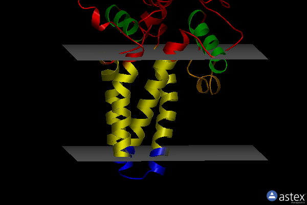 Membrane view of 4zr1