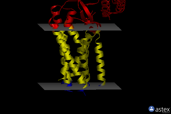Membrane view of 4zud