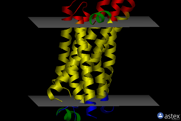 Membrane view of 5a8e