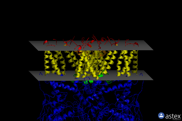 Membrane view of 5an8
