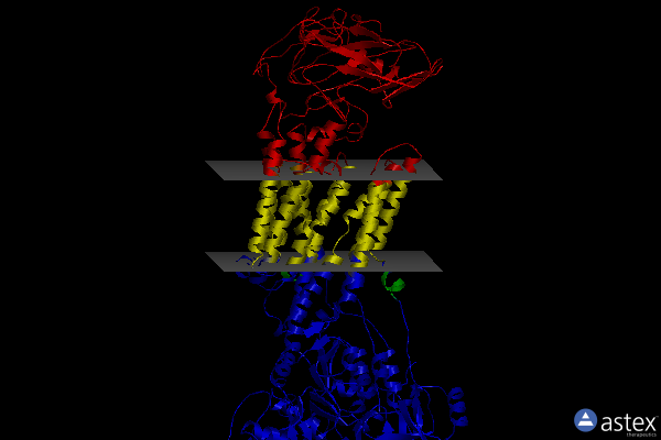 Membrane view of 5avx