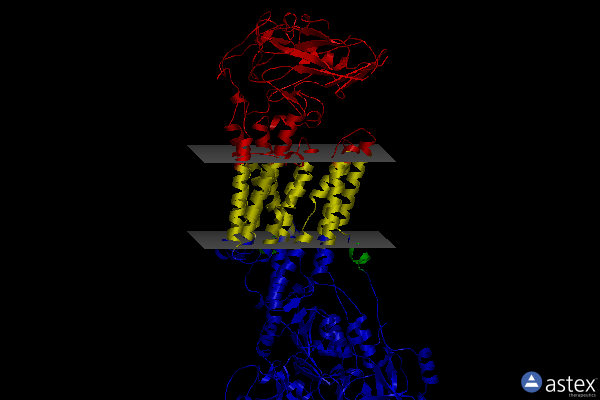 Membrane view of 5aw2