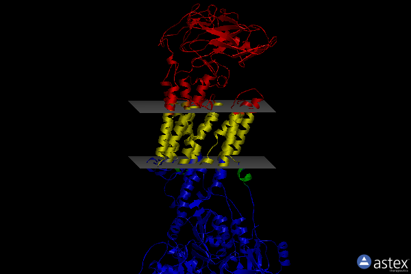 Membrane view of 5aw9