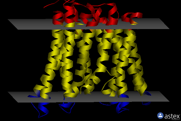 Membrane view of 5ayn