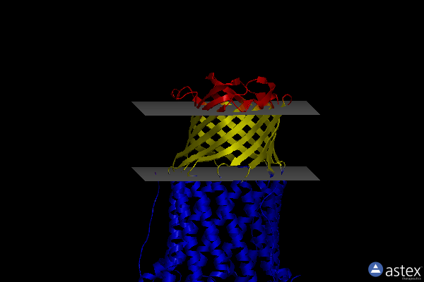 Membrane view of 5azo
