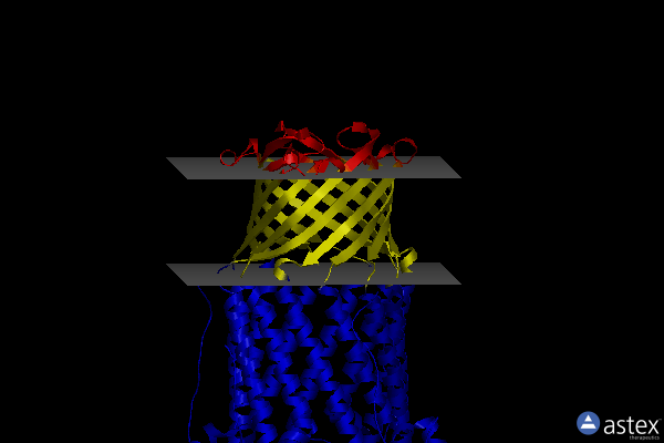 Membrane view of 5azp