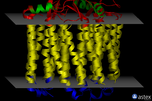 Membrane view of 5b0w