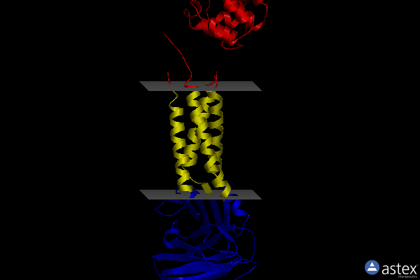 5b2g