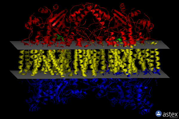 Membrane view of 5b3s