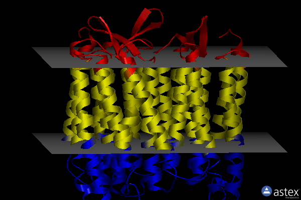 Membrane view of 5b6w