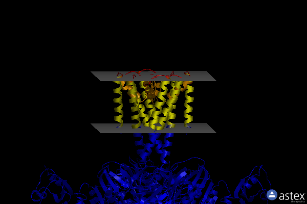 Membrane view of 5bki