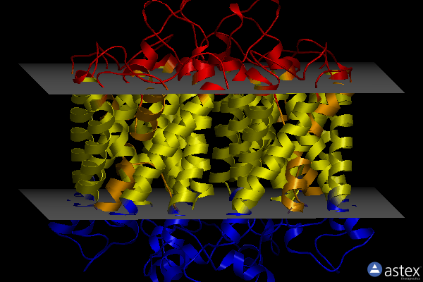 Membrane view of 5bn2