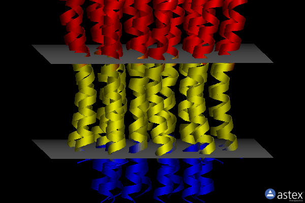 Membrane view of 5bps
