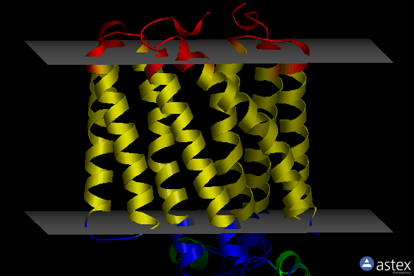 Membrane view of 5bqg