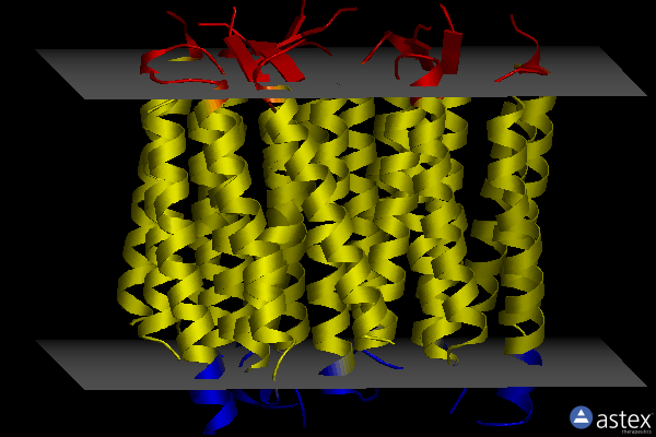 Membrane view of 5br2