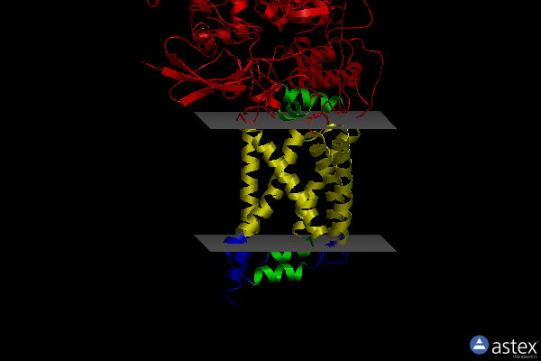 Membrane view of 5c3j