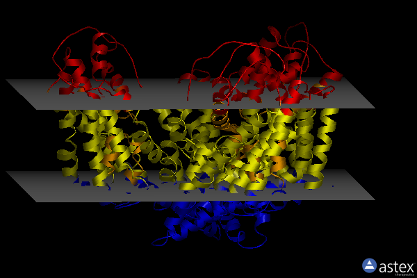 Membrane view of 5cfy