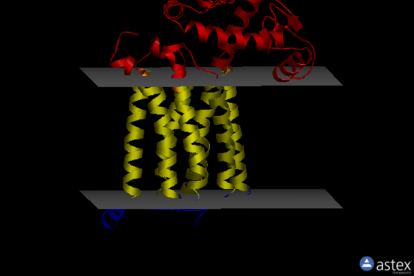 Membrane view of 5cgc