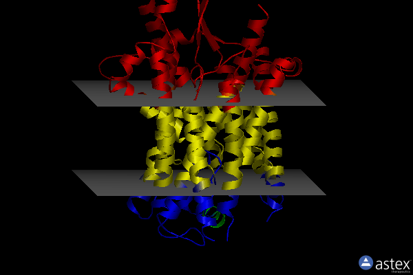 Membrane view of 5ch4