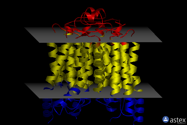 Membrane view of 5ckr