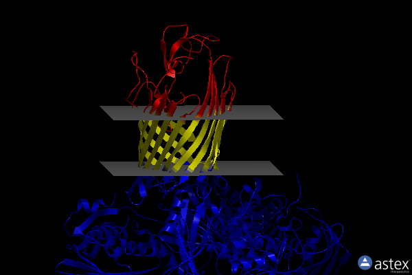 Membrane view of 5d0q