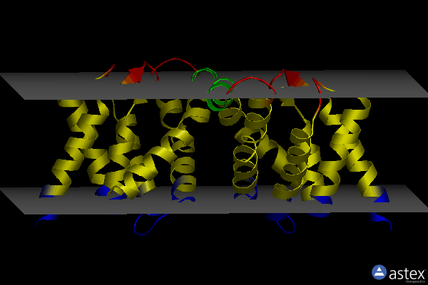 Membrane view of 5d0y