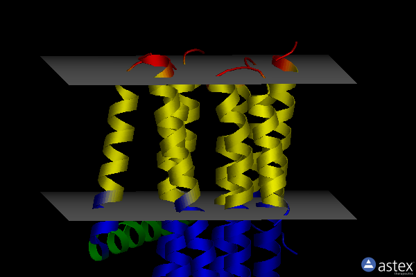 Membrane view of 5d56
