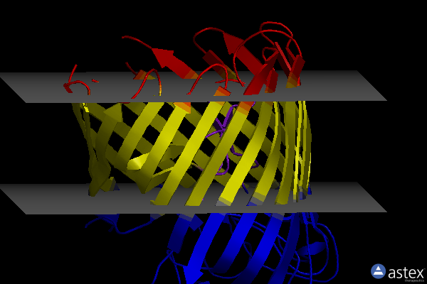 Membrane view of 5d5d