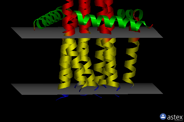 Membrane view of 5d6i