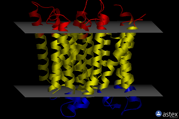 Membrane view of 5d6k