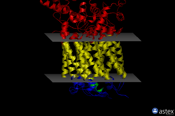 Membrane view of 5djq