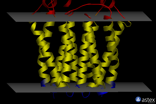 Membrane view of 5duo