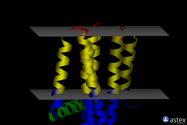 Membrane view of 5dwk