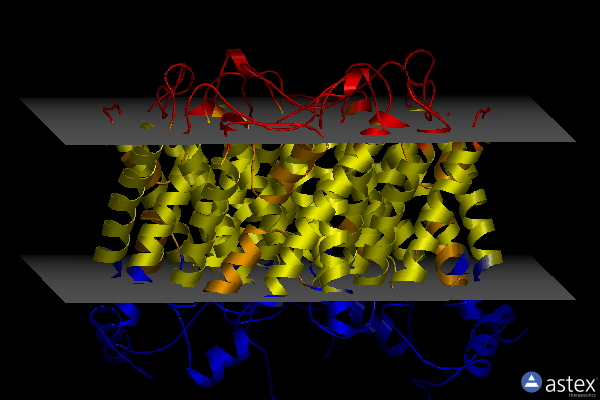 Membrane view of 5dye