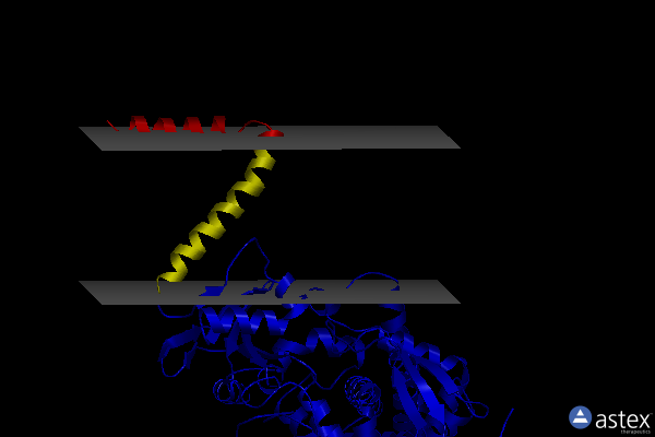 Membrane view of 5eae