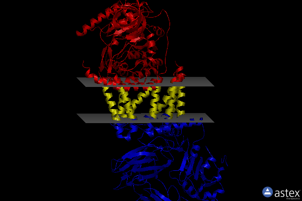 Membrane view of 5ejz