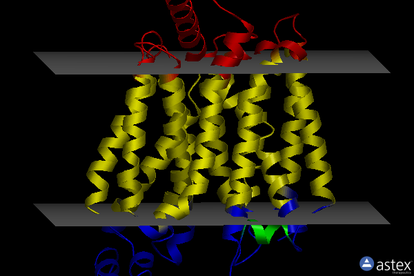 Membrane view of 5eqh