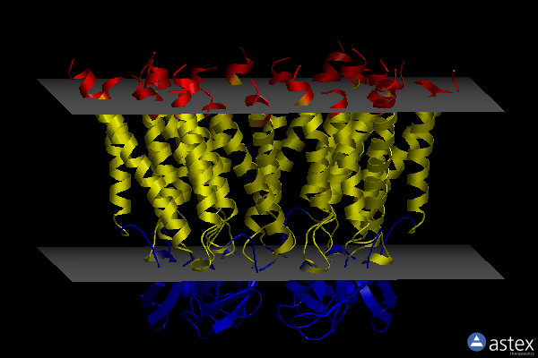 Membrane view of 5er7