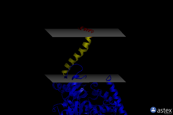 Membrane view of 5esh