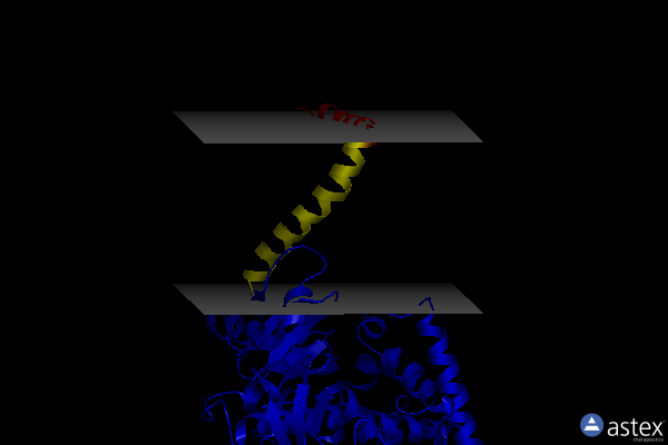 Membrane view of 5esi