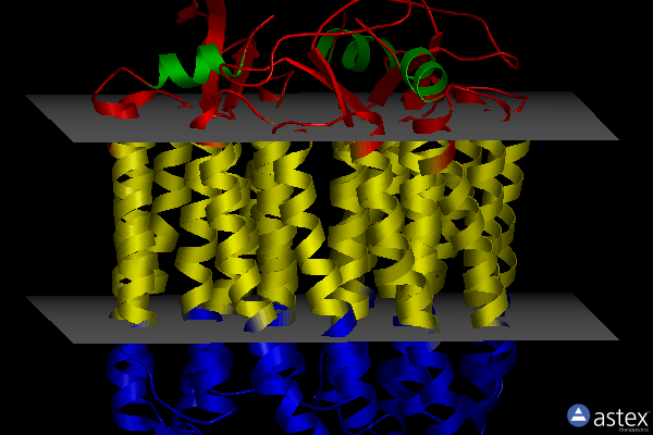 Membrane view of 5etz
