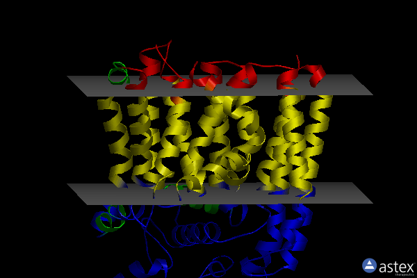 Membrane view of 5f15
