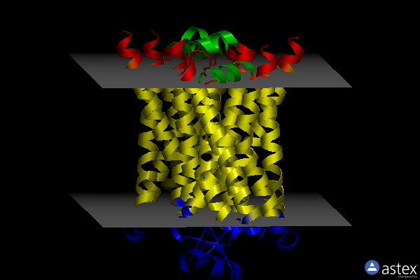 Membrane view of 5f8u