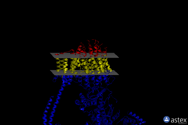 Membrane view of 5fik